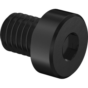 Zinc Plated High StrenghtLow-Profile Socket Head Screw M8 x 1.25 mm Thread size, 10mm Long图4